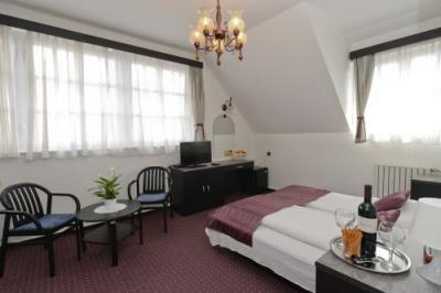 Camera ieftină din hotelul Budai din Budpesta - Hotel Budai Budapest - Cazare ieftină cu parcare în Budapesta